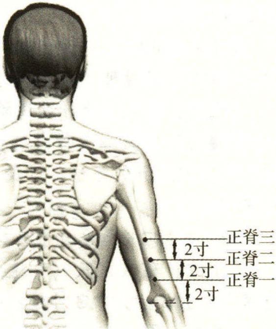 28.正脊一穴